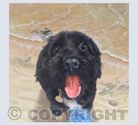Smiling Dog