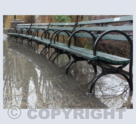 Central Park Reflections