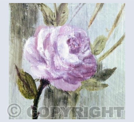 Vintage Pink Rose