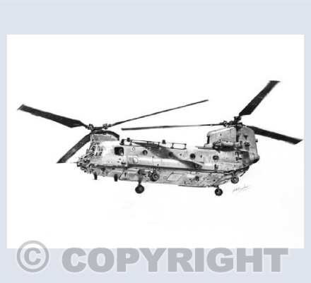 Chinook (Side)