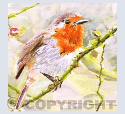 Scruffy Robin