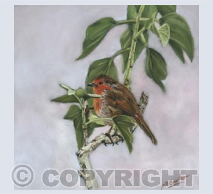 The Titchfield Robin