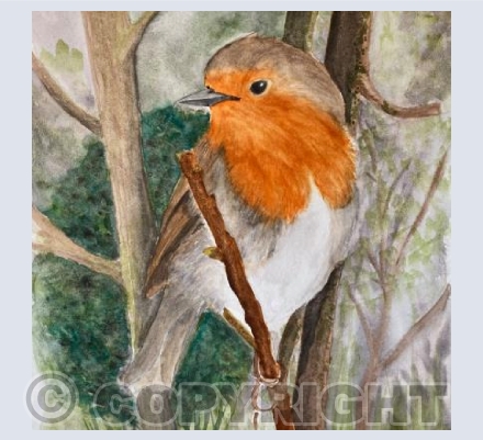 Robin in a tree