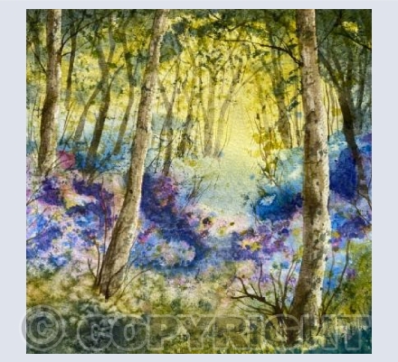 Wild Rhododendrons 2