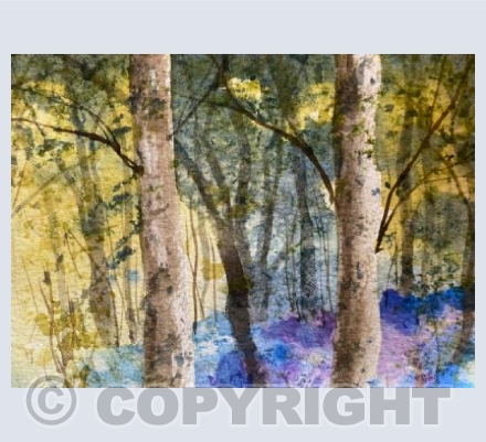 Wild rhododendrons 3