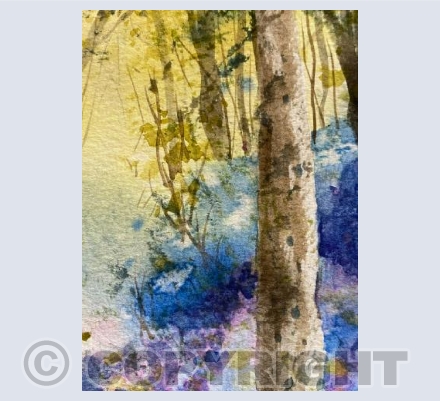 Wild rhododendrons 3