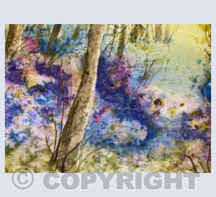Wild Rhododendrons 4