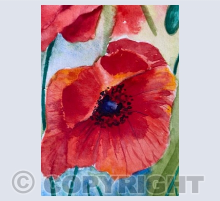 Poppies 2