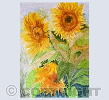 Sunflowers 1