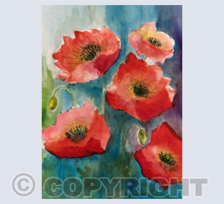 Poppies 6