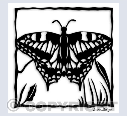 Butterfly-ing