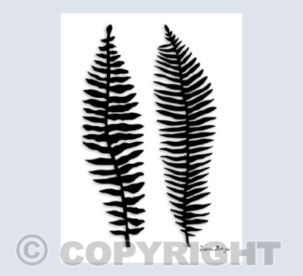 Fern Finery 1