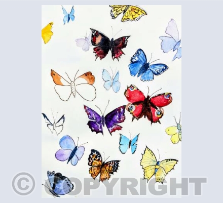 Butterflies