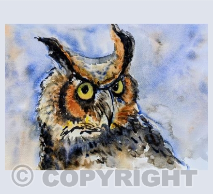 What a hoot