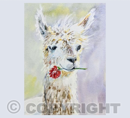 La la llama