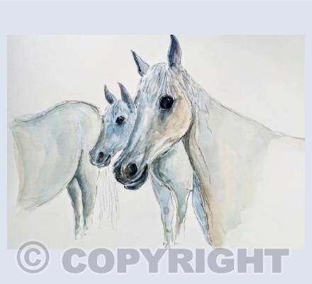 Arabian mares
