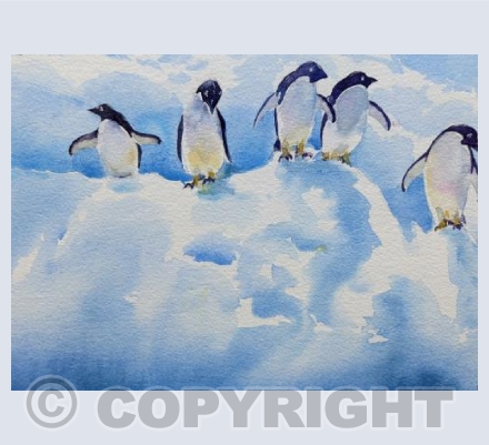 Penguins