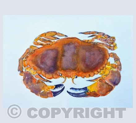 Crab