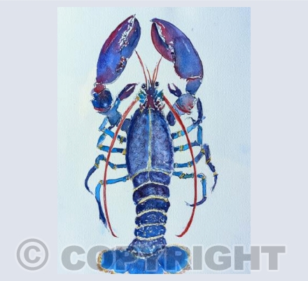 Lobster