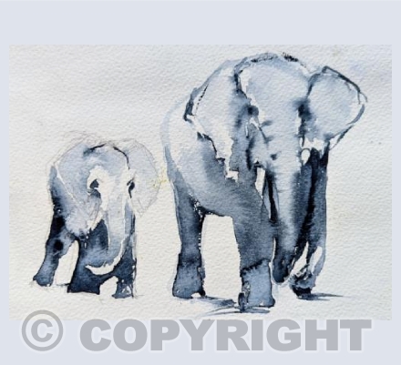 Elephants