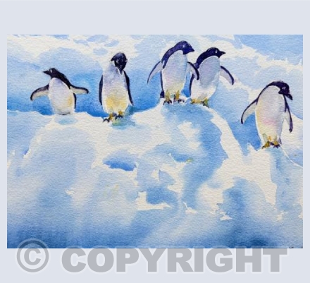 Penguins