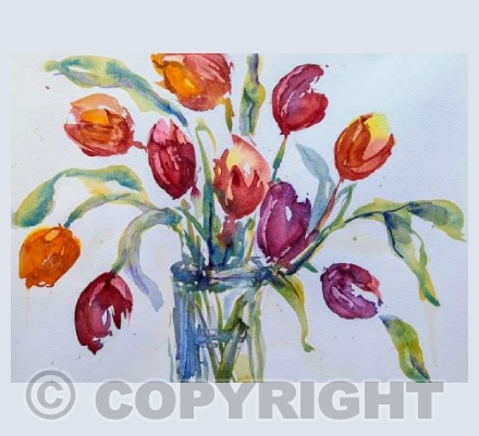 Tulips