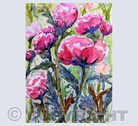 Peonies