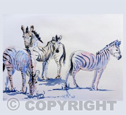 Zebras