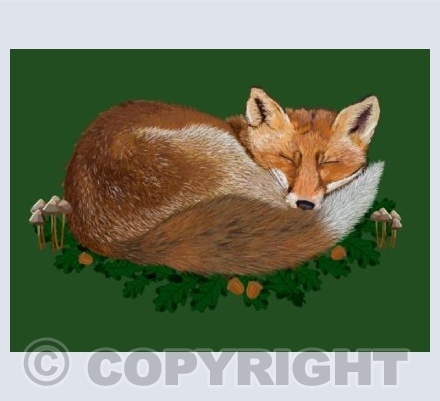 Sleeping Fox