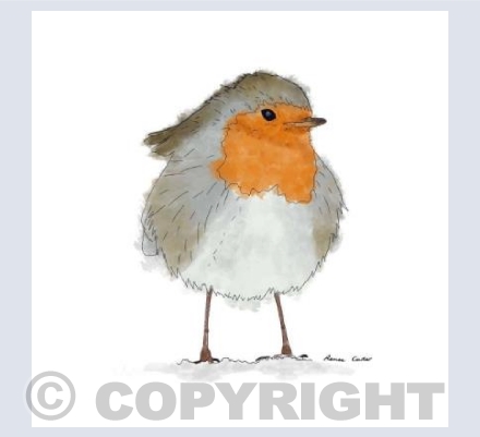 Christmas Robin