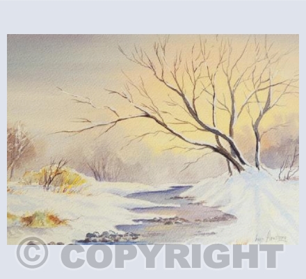 Winter Sun