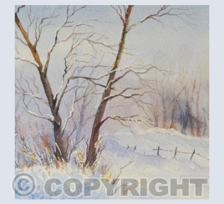Winter Trees