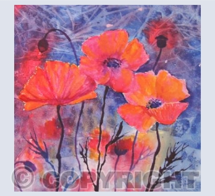 Midnight Poppies