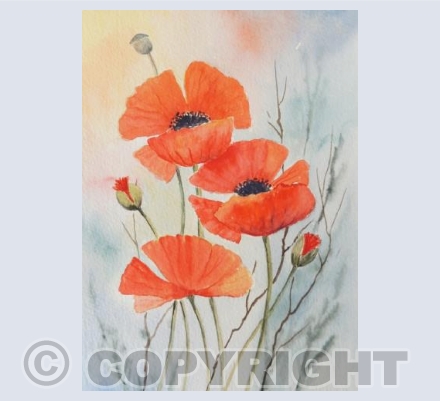 Wild Poppies