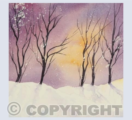 Winter Woods