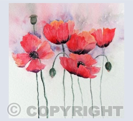 Poppy Parade