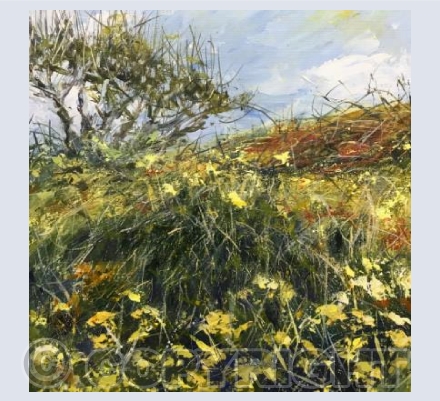 Hedge