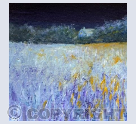 Midnight Fields