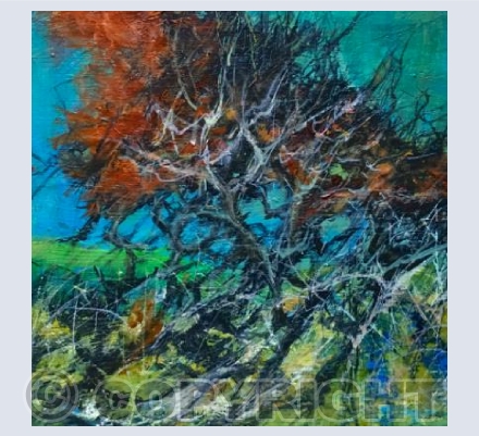 Winter Hedge 3