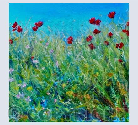 Poppies