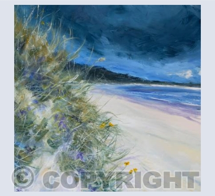 Dunes 43