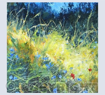 Cornflowers & Poppies