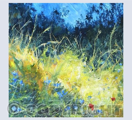Cornflowers 