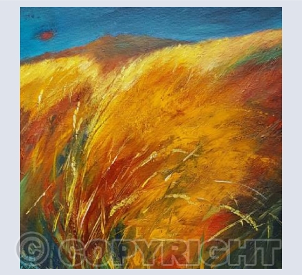 Neon Fields 4