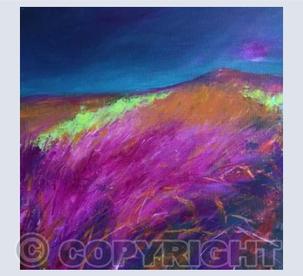 Neon Fields 1