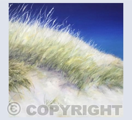 Bleached Beach