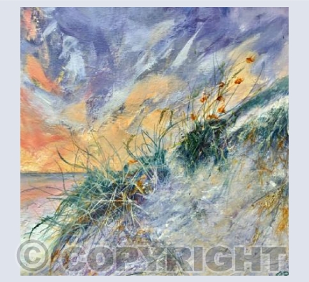 Dunes 16