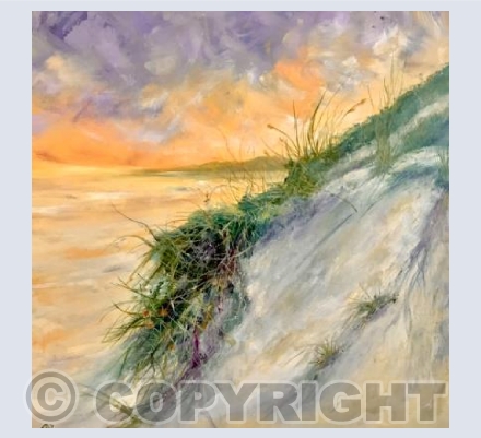 Dunes 14