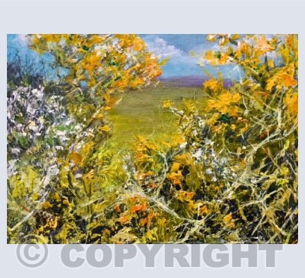 Spring Path