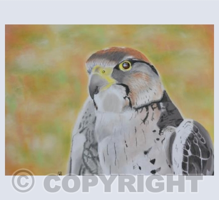 The Merlin